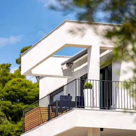 公寓 Panorama Dora With Jacuzzi Palit