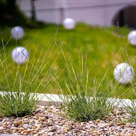 Panorama Dora With Jacuzzi Palit